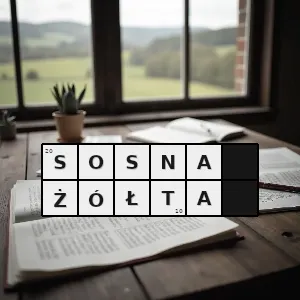 Rozwiązanie krzyżówki: pinus ponderosa gatunek drzewa iglastego z rodziny sosnowatych pinaceae rośnie w bardziej suchych rejonach nadpacyficznej części ameryki północnej - sosna żółta | hasła, synonimy i podpowiedzi Hasło krzyżówkowe pinus ponderosa gatunek drzewa iglastego z rodziny sosnowatych pinaceae rośnie w bardziej suchych rejonach nadpacyficznej części ameryki północnej - sosna żółta – rozwiązanie, synonimy, podpowiedzi i definicje krzyżówkowe